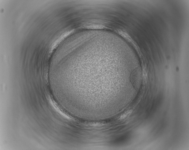 X0000052600533200507221636