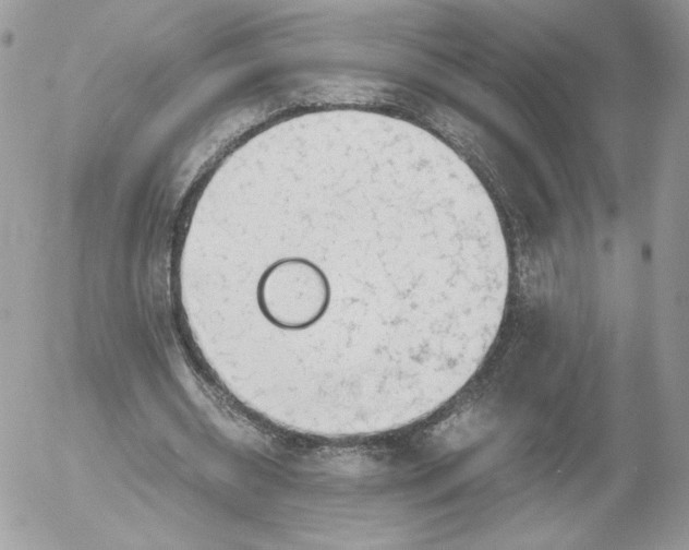 X0000052600534200507221636