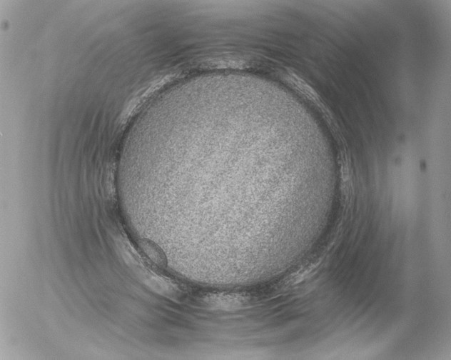 X0000052600537200507221636