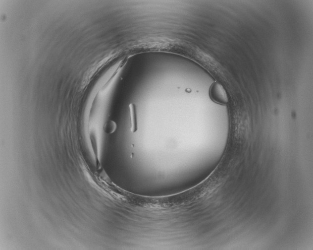 X0000052600538200507221636