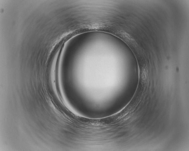 X0000052600540200507221636