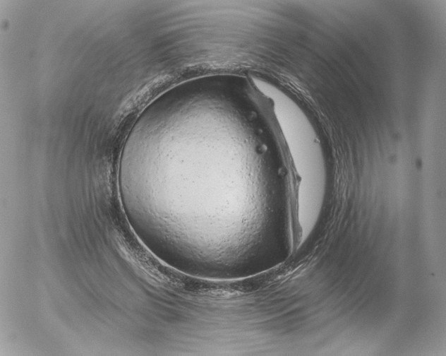 X0000052600542200507221636