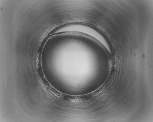 X0000052600544200507221636