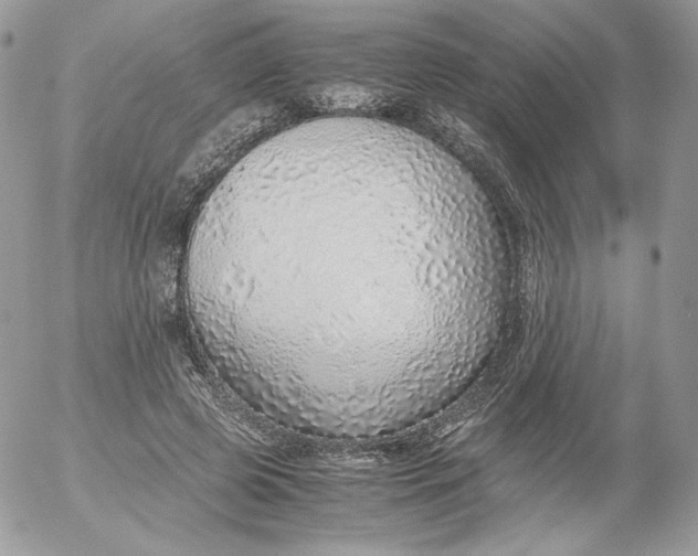 X0000052600545200507221636