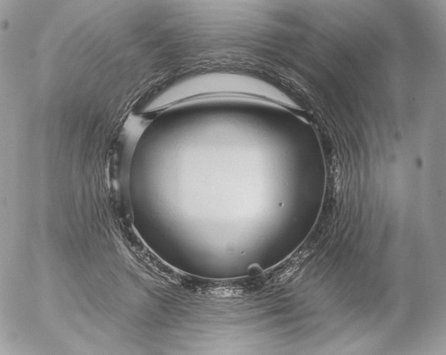 X0000052600546200507221636