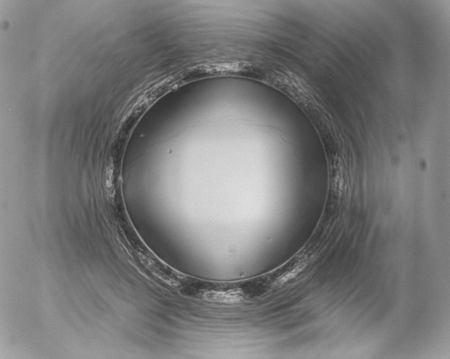 X0000052600548200507221636