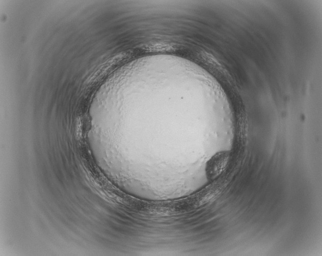 X0000052600549200507221636