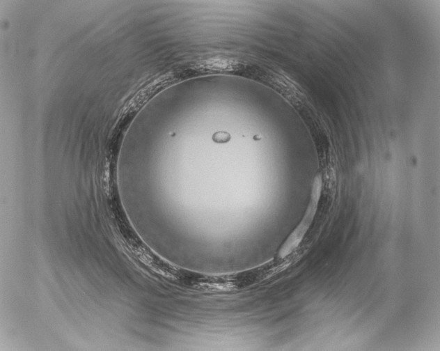 X0000052600552200507221636