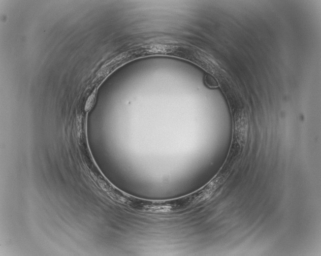 X0000052600554200507221636