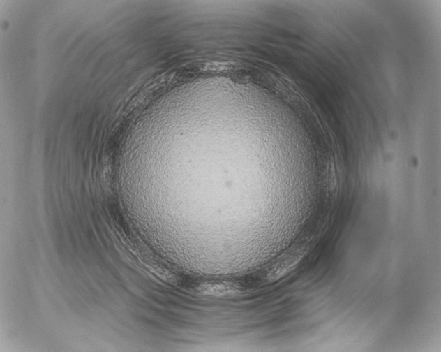 X0000052600557200507221637