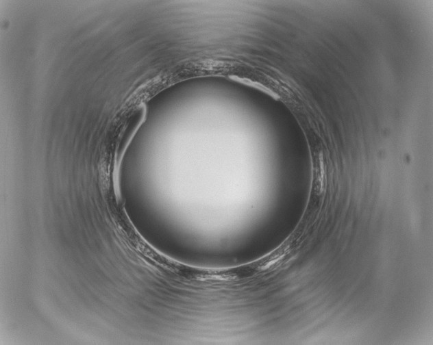 X0000052600558200507221637