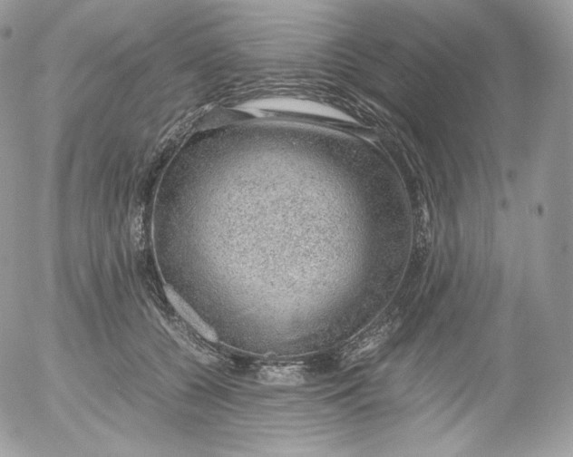 X0000052600560200507221637