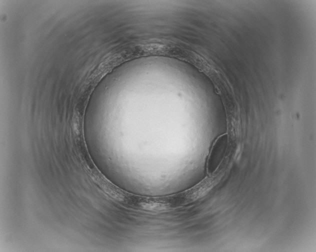 X0000052600561200507221637