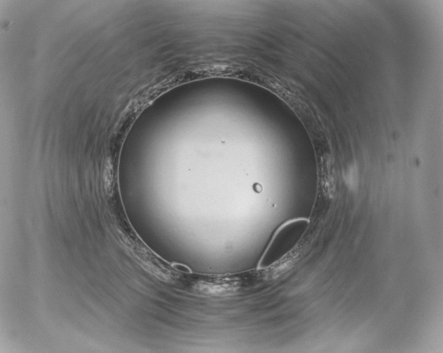 X0000052600563200507221637