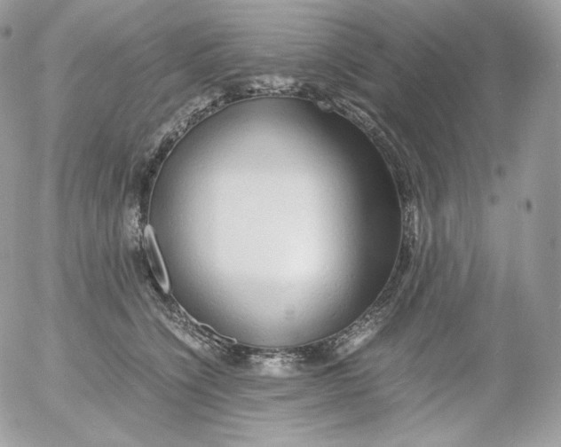 X0000052600564200507221637