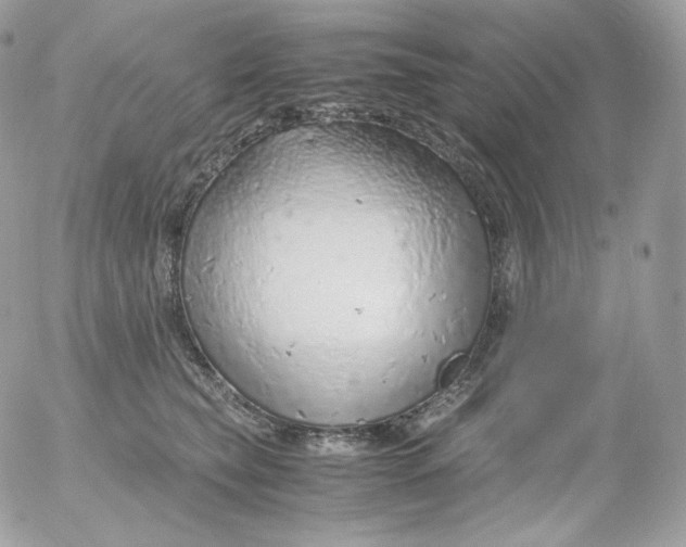 X0000052600565200507221637