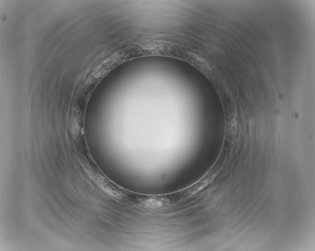 X0000052600566200507221637