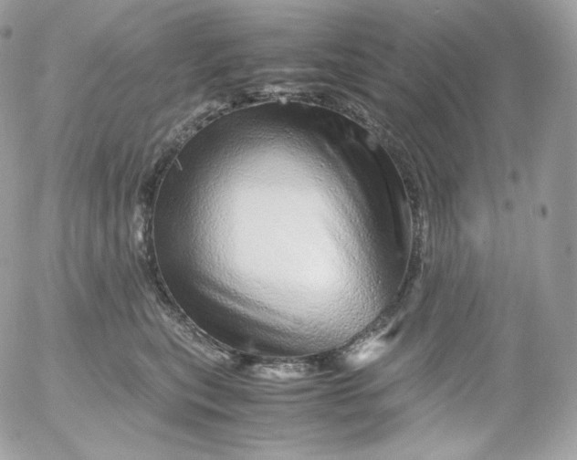 X0000052600567200507221637