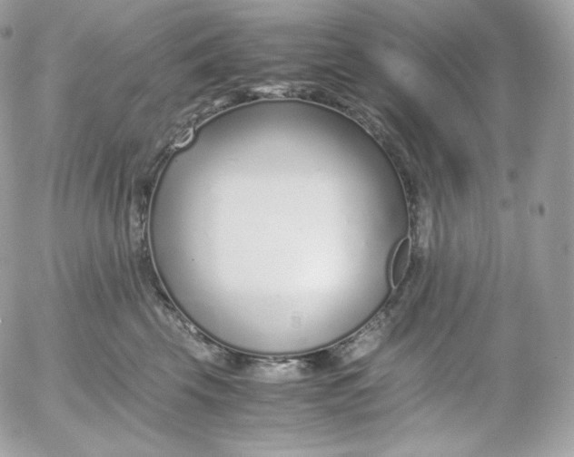 X0000052600569200507221637