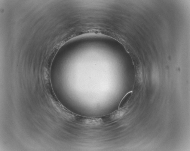 X0000052600571200507221637