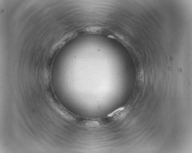 X0000052600572200507221637