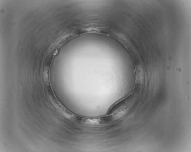 X0000052600573200507221637