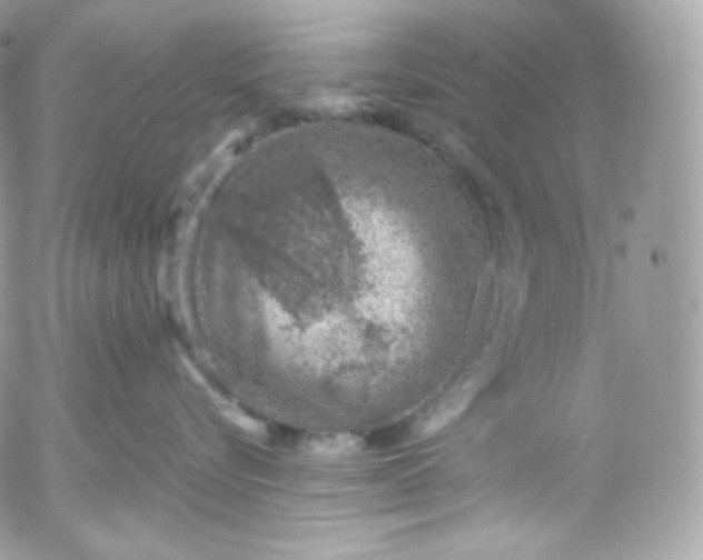 X0000052600576200507221637