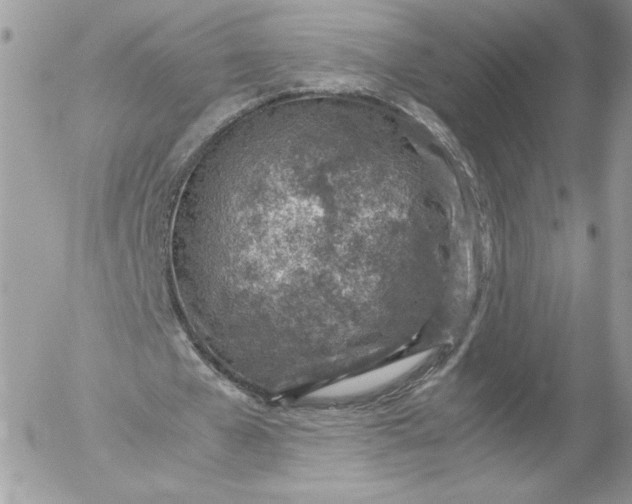 X0000052600577200507221636