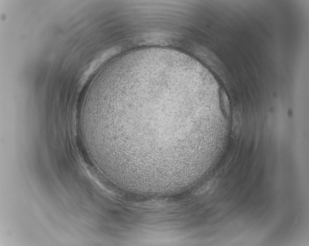 X0000052600578200507221636