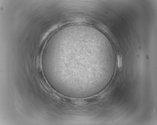 X0000052600579200507221636