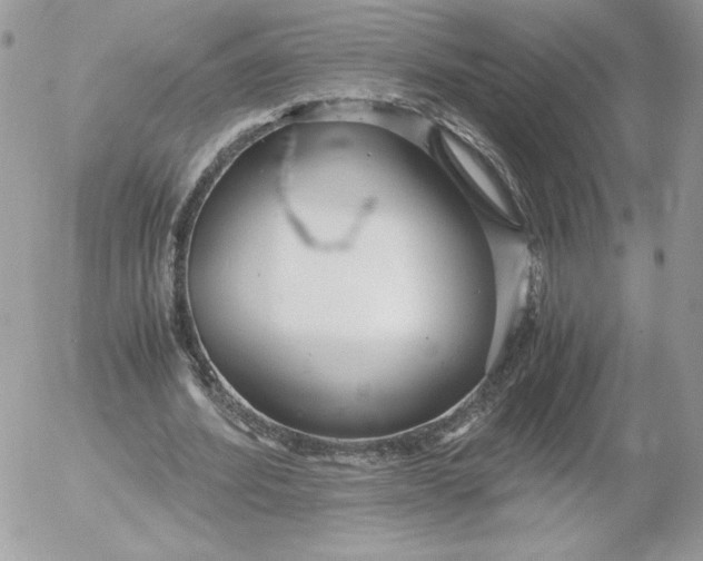 X0000052600580200507221636