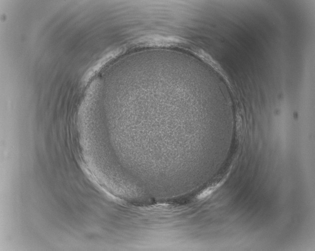 X0000052600581200507221636