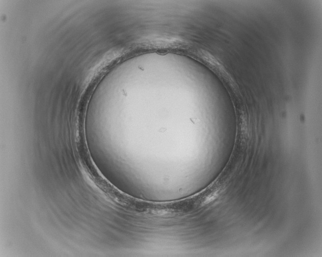 X0000052600582200507221636