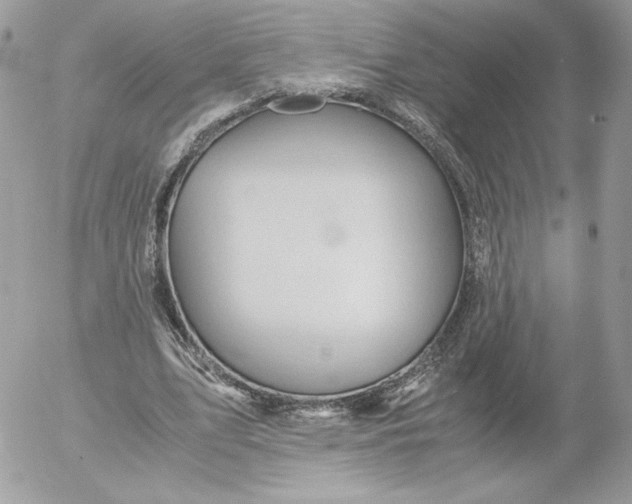 X0000052600583200507221636