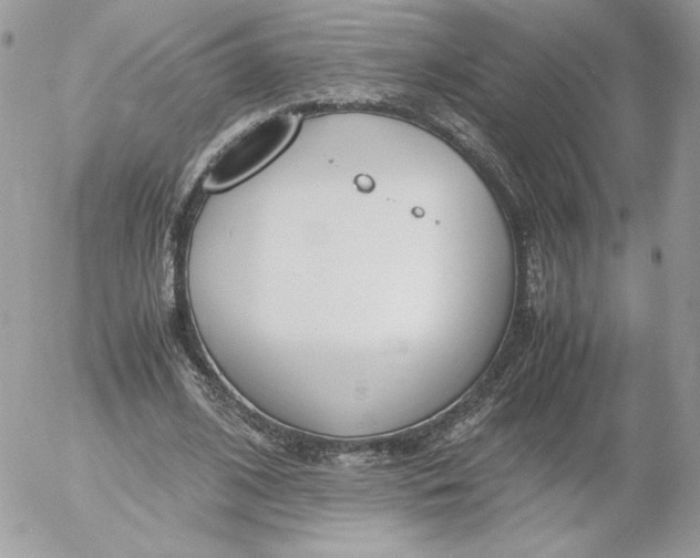 X0000052600584200507221636