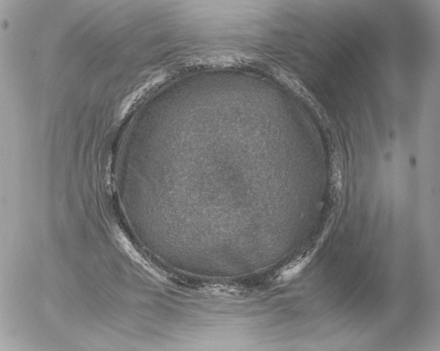 X0000052600585200507221636