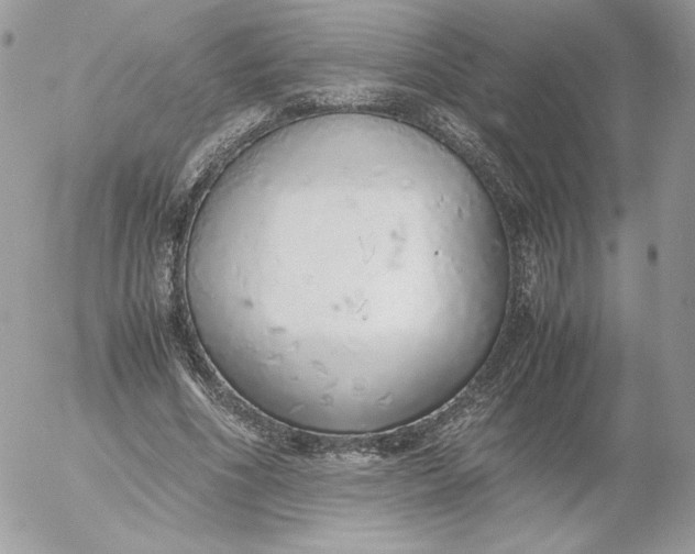 X0000052600586200507221636