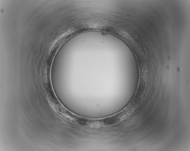 X0000052600587200507221636