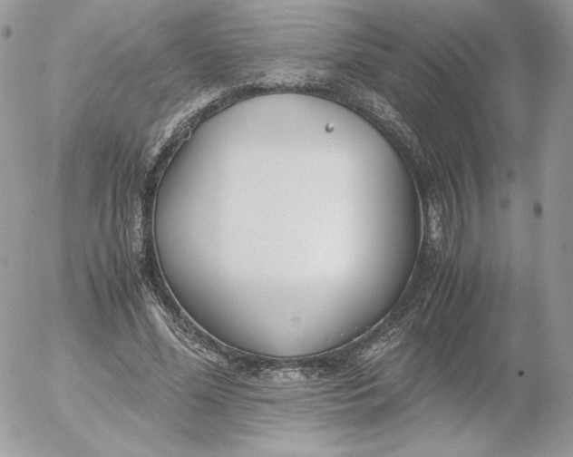 X0000052600588200507221636