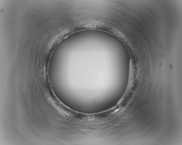 X0000052600589200507221636