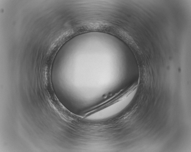 X0000052600590200507221636