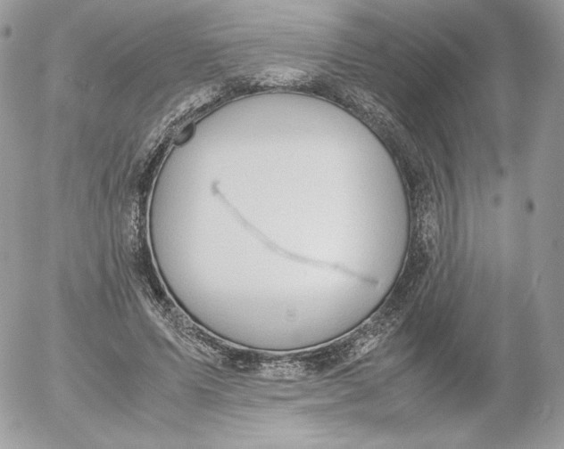 X0000052600591200507221636