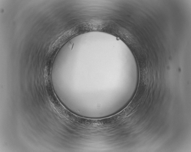 X0000052600594200507221636