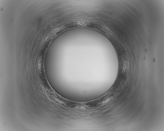 X0000052600595200507221636