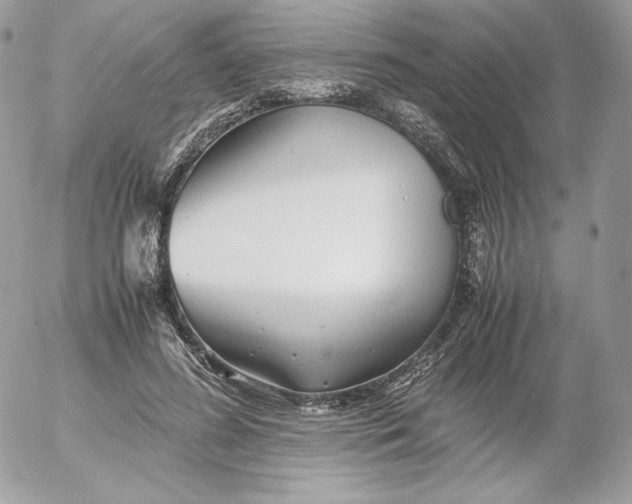 X0000052600596200507221636