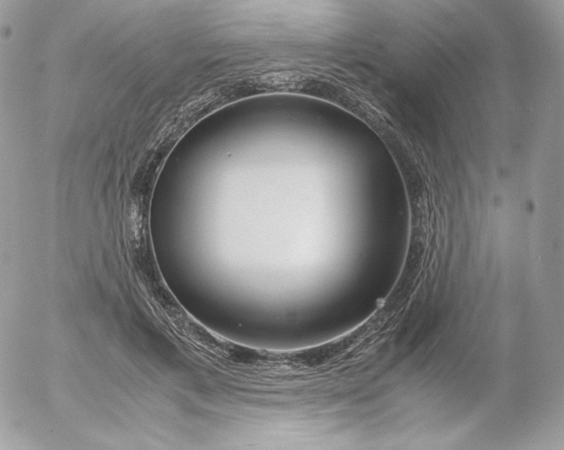 X0000052600597200507221636