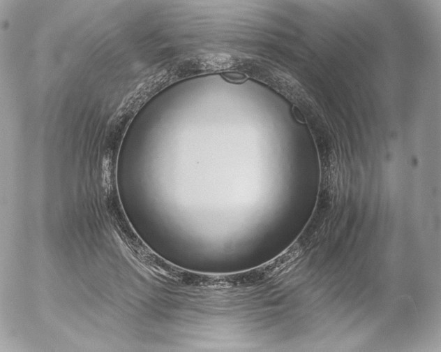 X0000052600598200507221636