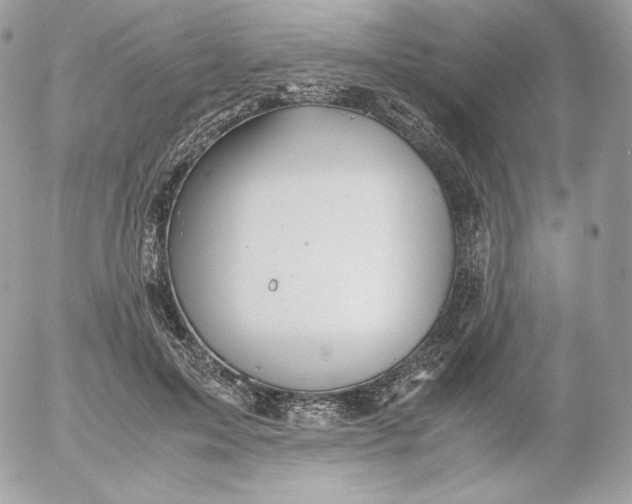 X0000052600599200507221636