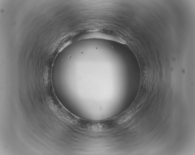 X0000052600600200507221636