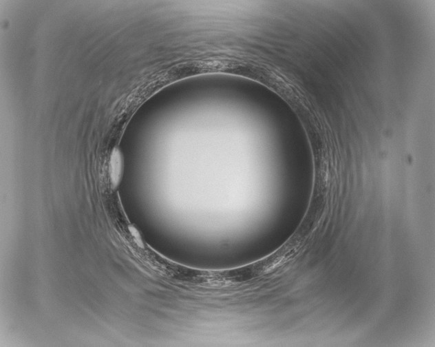 X0000052600601200507221636